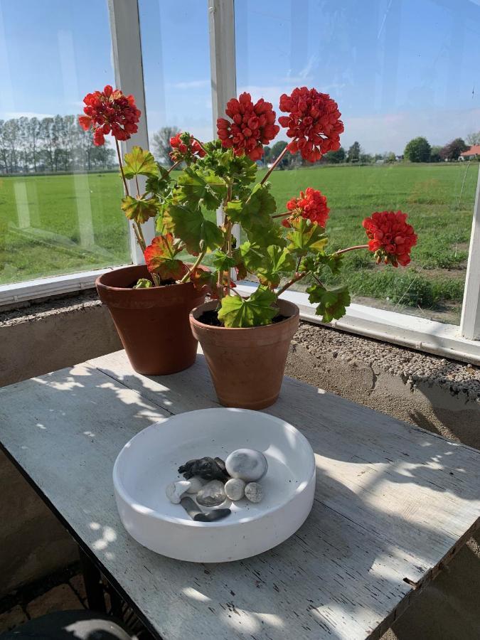 Strandbadsgarden B&B Löderup Екстериор снимка